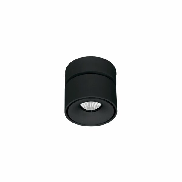 MINI CONCORD 8W BENEITO FAURE - immagine 6