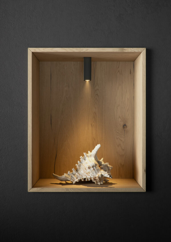 ACCESSORIO NANO PULSAR BENEITO FAURE - immagine 6