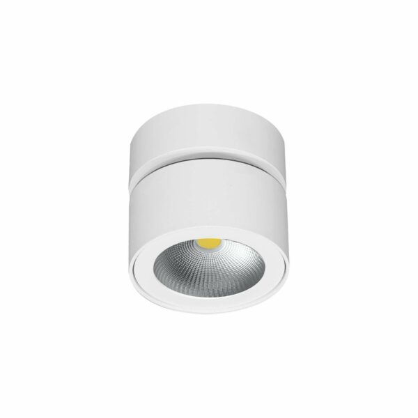 CONCORD 14W SWITCH BENEITO FAURE